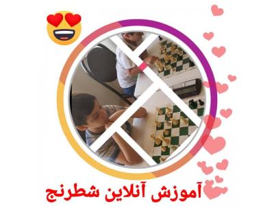 شطرنج-آموزش شطرنج از کودکان تا بزرگسالان