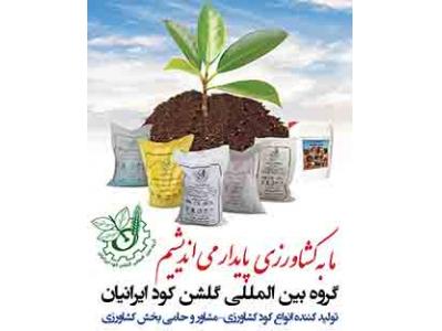 گروه بين المللي گلشن کود ايرانيان