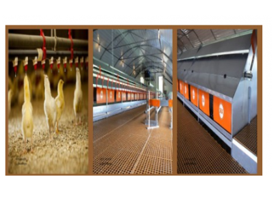 سالنها-گروه صنعتی تک طیور تولید کننده قفس های اتوماتیک و نیمه اتوماتیک ( تخمگذار و گوشتی )