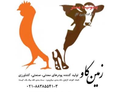 بنتونیت-بسترحیوانات