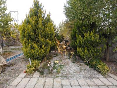 باغ-1200 متر باغ ویلا شیک و مشجر در بکه شهریار