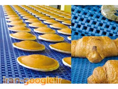 تسمه نقاله مدولار (زنجیر پلاستیکی)