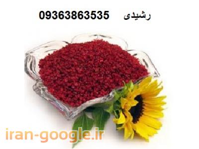 فروش مغز گردو در مشهد ، فروش پر لیمو عمانی درجه یک 