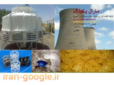 پکينگ پال رينگ - پکينگ رندوم اسپلش