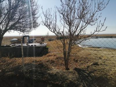 فروش زمین ۵۰ هکتاری