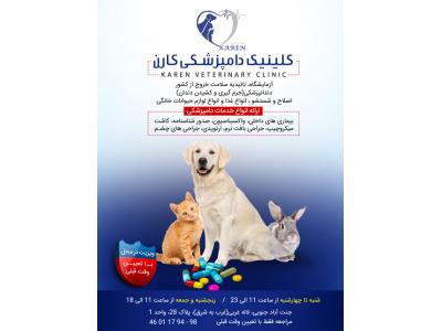 کلینیک دامپزشکی کارن در جنت آباد