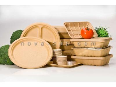 فروش ظروف کاغذی