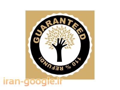 آیلتس تضمینی در کالج بین المللی آریام