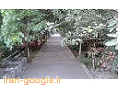 فروش باغ رستوران فعال درطالقان