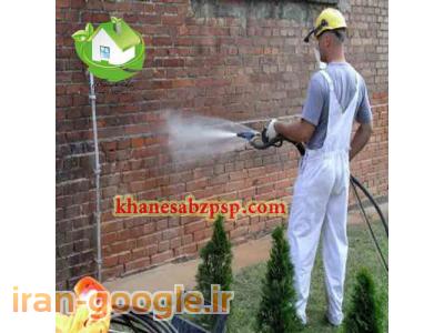 نماشویی تخصصی 