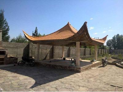 2000 متر ویلا باغ بسیار شکیل 