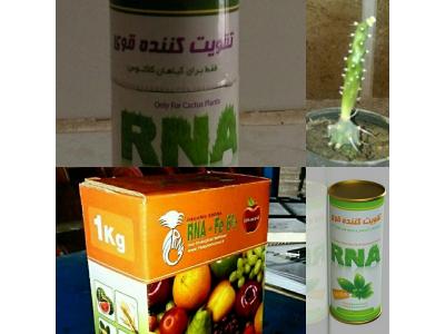 RNA-تقویت کننده قوی گیاهان آپارتمان و باغچه های کوچک
