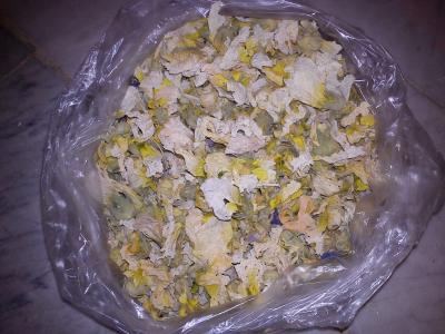 برداشت و فروش عمده گل ختمی