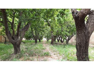 ملک بین-500 متر باغچه ی مشجر بسیار زیبا در شهریار