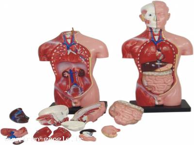 تجهیزات ازمایشگاه  پراتیک وپرستاری