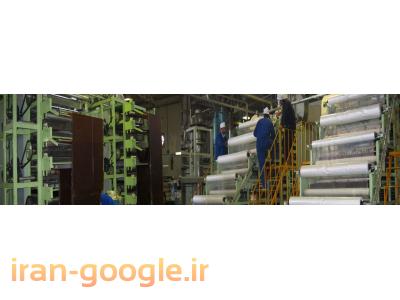 دستگاه شستشوی میوه سبزی و سالاد