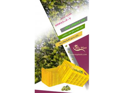 انواع جعبه و سبد پلاستیکی جهت بسته بندی