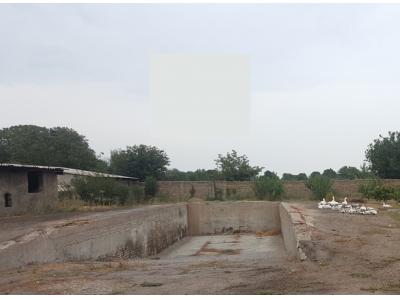 فروش گاوداری فعال و مجهز در قزوین