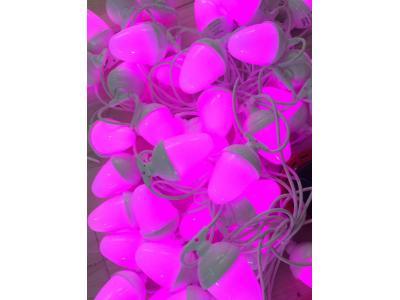  ریسه LED هفت رنگ 15 شعله 10 متری - علی سلطان مرادی