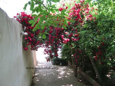  باغ ویلا در شهریار