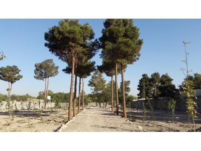 500 متر زمین-مهرشهر 5000 متر باغ ویلا ششدانگ باوجوز ساخت