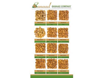 بادام-تولید،توزیع وصادرات انواع بادام