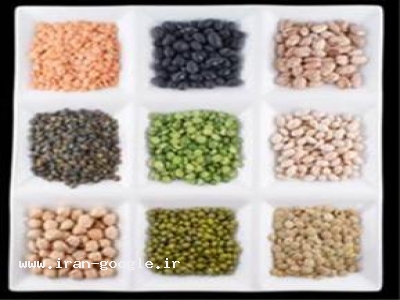 توزیع کننده حبوبات ،