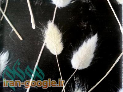 سنگ مصنوعی - خط تولید سنگ مصنوعی مهندسی (خط تولید سنگ نانو گلاس)