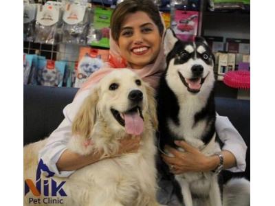 کلینیک دامپزشکی و پت شاپ نیک در تهران 