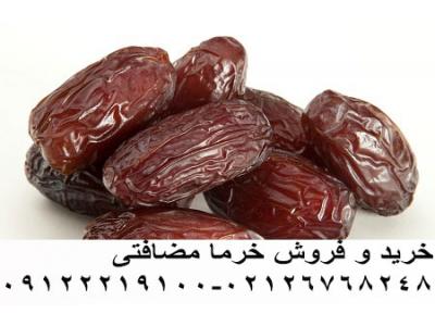 صادرکنندگان خرما-فروش خرما سجاد