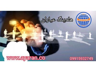 هلدینگ سرمایه گذاری عیاران