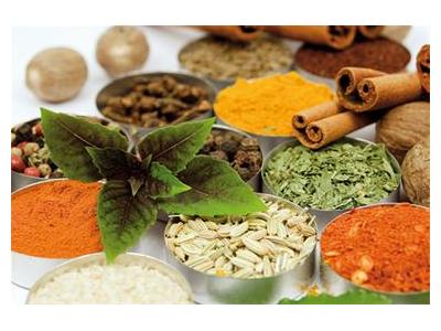 طب سنتی حکیم علیرضا رنجبر قدیمی ترین شاگرد مرحوم استاد سید باقر حکیم