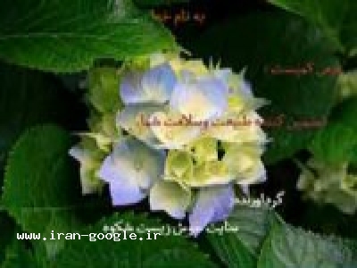 مراحل تولید ورمی کمپوست ، ورمی کمپوست