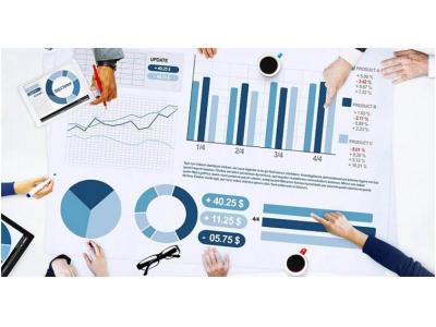 مشاور اقتصادی و بازرگانی و سرمایه گذاری کسب و کار