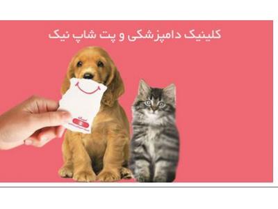 ویزیت حیوانات در محل-کلینیک دامپزشکی و پت شاپ نیک در تهران 