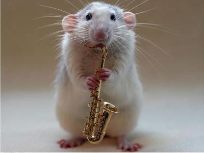 سم پاشی در ارومیه