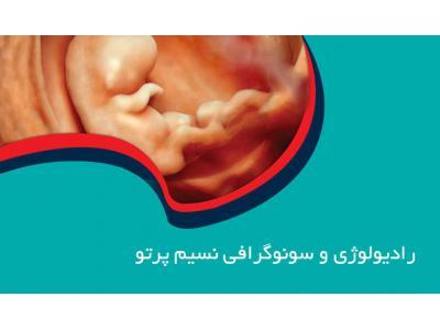 متخصص سونوگرافی خانم ، سونوگرافی خوب ، سونوگرافی دقیق در فلسطین شمالی