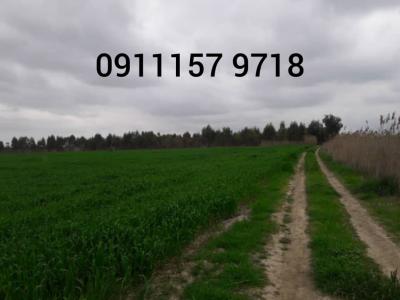 فروش زمین کشت و صنعت 800 هکتاری و فروش زمین  2500 هکتاری مرغداری در ساری 