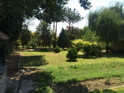 فروش باغ ویلا 12000 متری در تیسفون (کد153)
