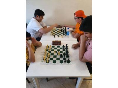 کود-آموزش شطرنج از کودکان تا بزرگسالان