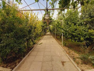 ویلا و سوئیت در نور-2500 متر باغ ویلای مشجر در شهریار