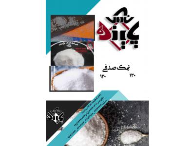 سنگ نمک صنعتی-محصولات شرکت نمک پاینده