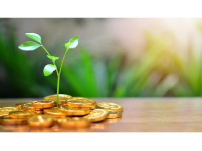 بهترین سرمایه گذاری