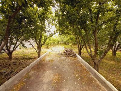 باغ ویلا جوازدار در شهریار-800 متر باغچه ایده آل جهت ساخت ویلا در شهریار