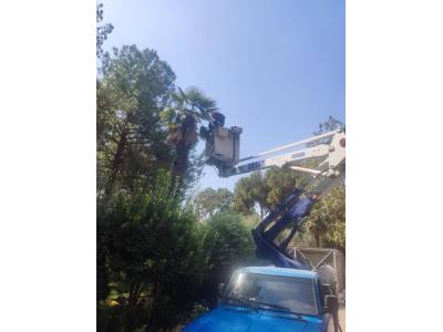 اجاره بالابر و نیسان بالابر و بالابر نیسان تا ارتفاع 10 و 12 متر در تهران و حومه تهران 