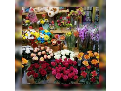 گل و گیاه-پیش فروش غرفه های 18 متری بازار گل و گیاه (عباس آباد)