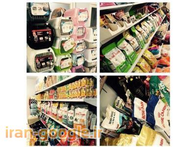 کلینیک دامپزشکی در مشهد  ، مرکز جراحی و کلینیک دامپزشکی کاسپین 