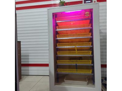 دستگاه جوجه کشی متین صنعت 