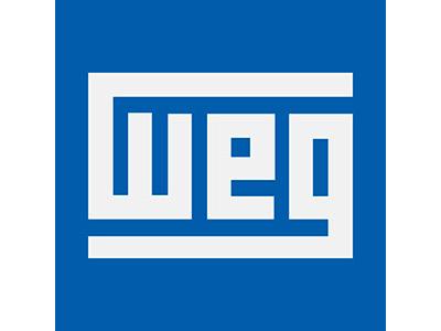 الکتروموتور وگ 