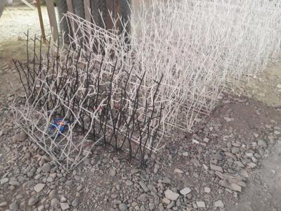 شاخ گوزنی - خرید شاخ گوزنی - تولید شاخ گوزنی - تولید کننده شاخ گوزنی - نصاب شاخ گوزنی